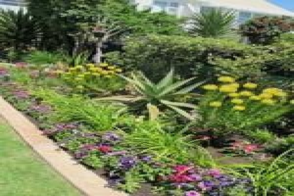 Roots And Shoots Landscaping