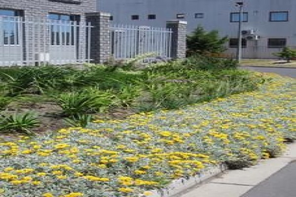 Roots And Shoots Landscaping