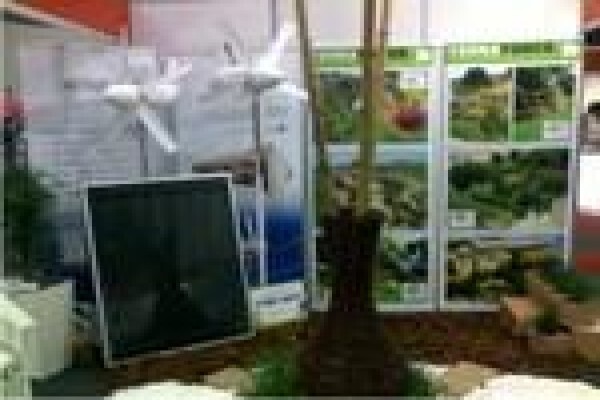 Roots And Shoots Landscaping