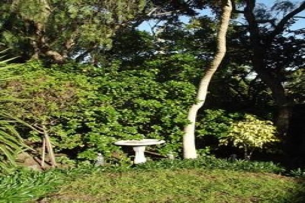 Roots And Shoots Landscaping