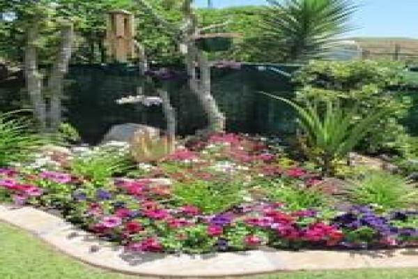 Roots And Shoots Landscaping