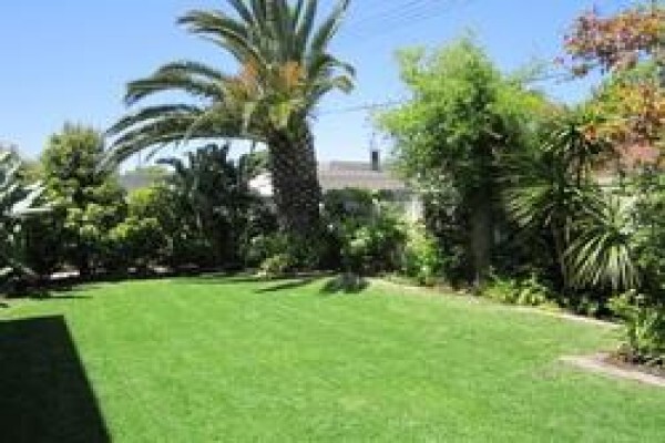 Roots And Shoots Landscaping