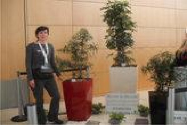 Roots And Shoots Landscaping