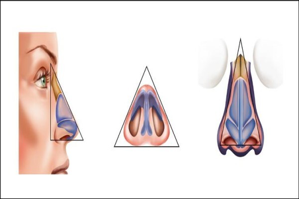 The Nose Clinic