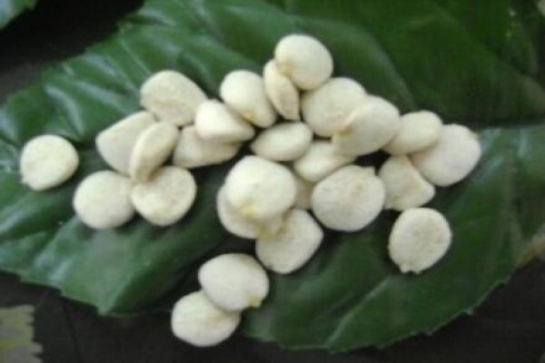 Semelia Fat Burner