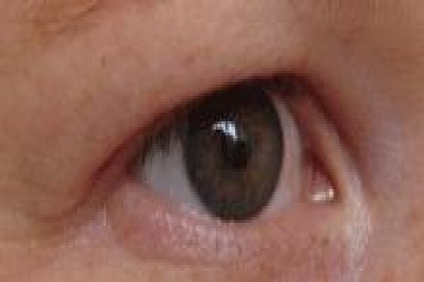 Shape-It-Up Permanent Make Up