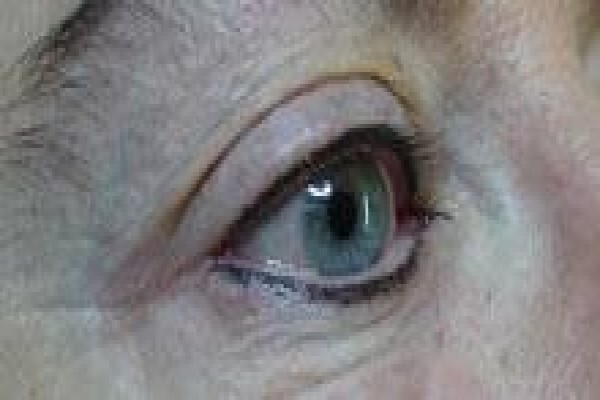 Shape-It-Up Permanent Make Up