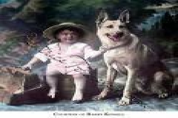 Sheer Perfection Pets Grooming Parlour