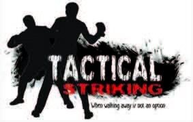 Shido Fighting Systems