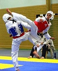 Shido Fighting Systems