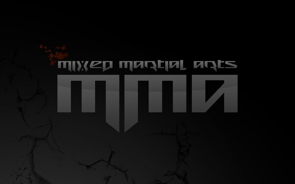 Shido Fighting Systems