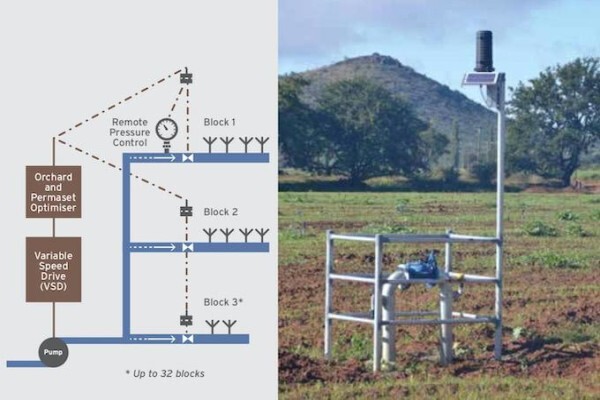 Shock Wave Engineering