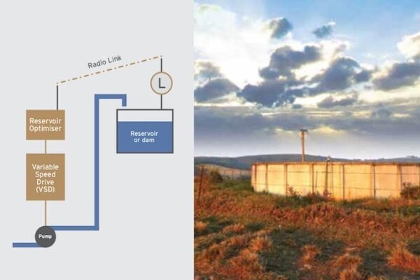 Shock Wave Engineering
