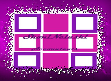Shoninelushi Accountants (Pty) Ltd