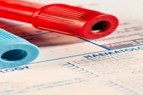 Sa Sports And Health Orginization