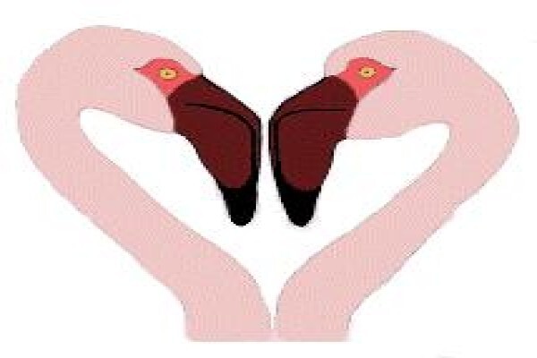 Save The Flamingo