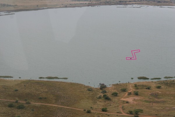 Save The Flamingo