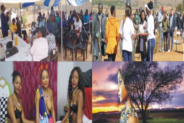 Sa Website For Non Profit Organisations