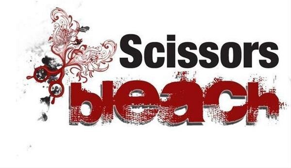 Scissors And Bleach