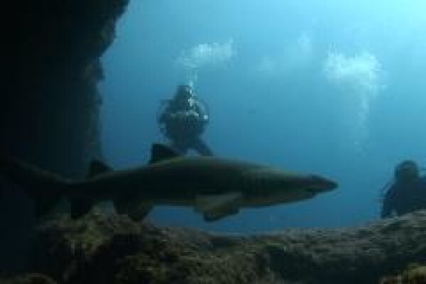 Scubaaddicts