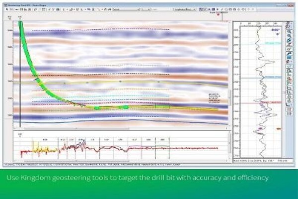 Seismic Micro-Technology