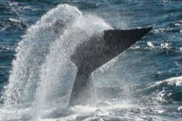 Snapshot Adventure Tours & Travel