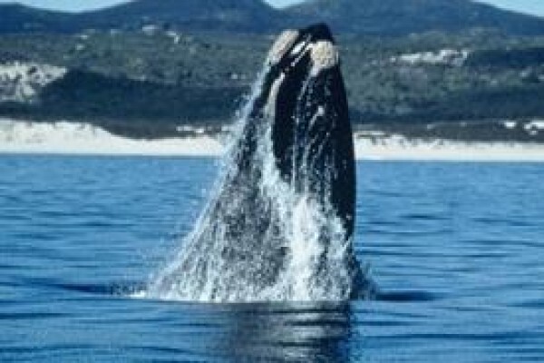 Snapshot Adventure Tours & Travel