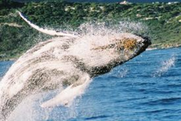 Snapshot Adventure Tours & Travel
