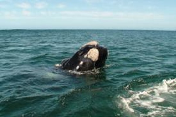 Snapshot Adventure Tours & Travel