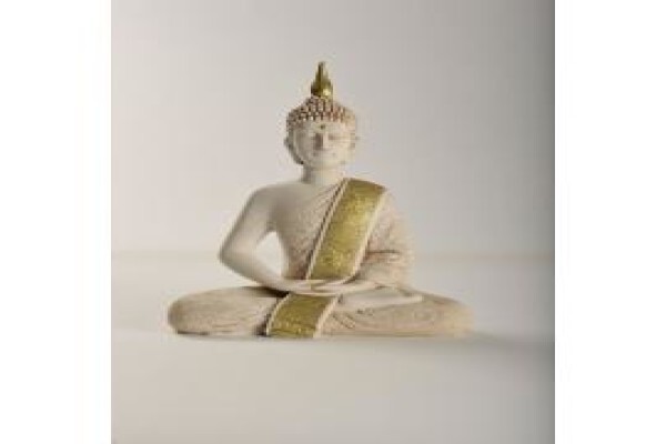 Snow Lion Artefacts
