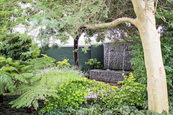 Somerset Aesthetic Surgery