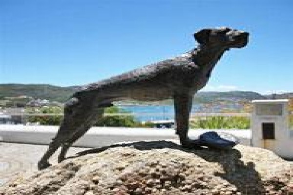 Simons Town Guest House