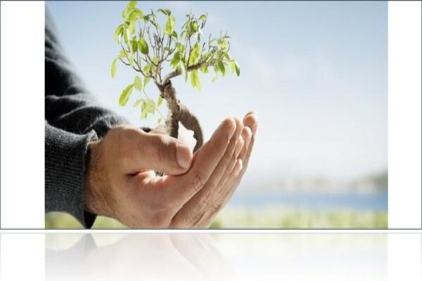 Stoi Business Consultnats