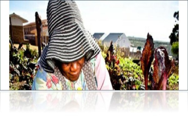 Stoi Business Consultnats