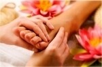 Study Beauty Online