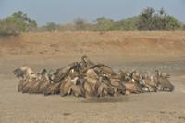 South Africa Travel Channel
