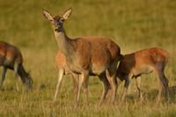 South Africa Travel Channel
