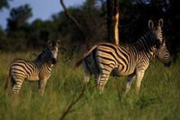 South Africa Travel Channel