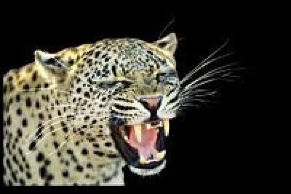 South Africa Travel Channel