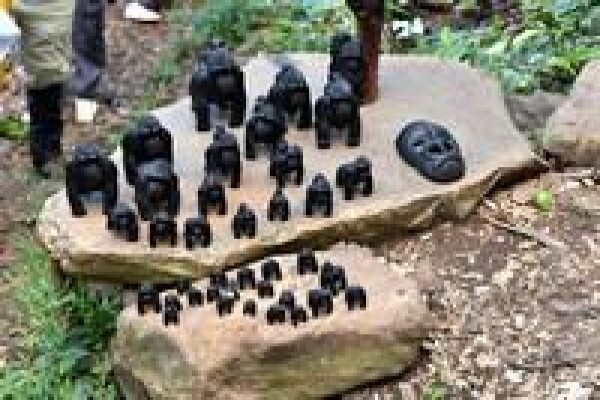 South Africa Travel Channel