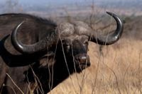 South Africa Travel Channel