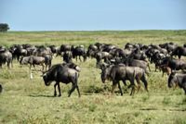 South Africa Travel Channel