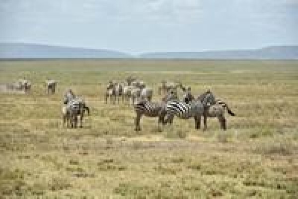 South Africa Travel Channel