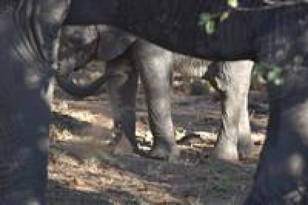 South Africa Travel Channel