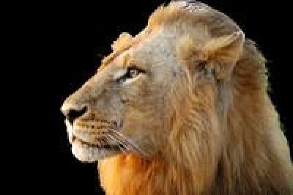 South Africa Travel Channel