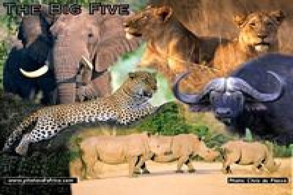 South Africa Travel Channel