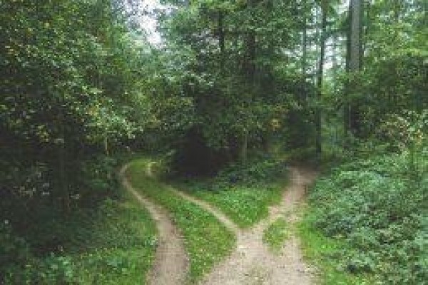 Symbiotics