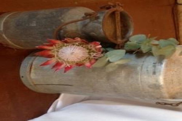 The Wedding Company South Africa
