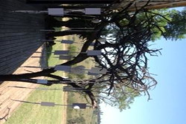 The Wedding Company South Africa