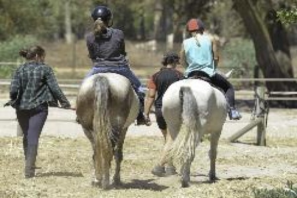 The White House Stables